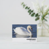 Carte De Visite Mute Swan (Debout devant)