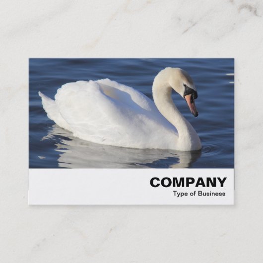 Carte De Visite Mute Swan (Devant)