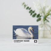 Carte De Visite Mute Swan (Debout devant)