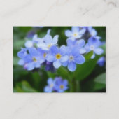 Carte De Visite Myosotis sylvatica - Oubliez-moi non (Dos)
