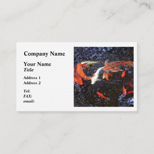 Carte De Visite Natation Koi (Devant)