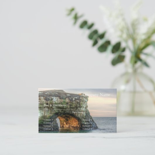 Carte de visite Natural Bridges 13 (Debout devant)