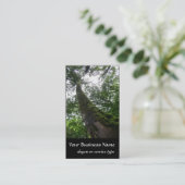 Carte De Visite Nature/arbre de Cypress à feuillage persistant (Debout devant)