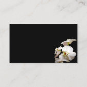 Carte De Visite nature orchidées blanches photographie de fleur (Dos)