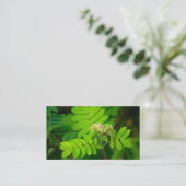 Carte De Visite Natures gloire | (Debout devant)