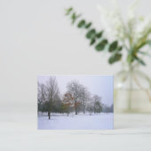 Carte De Visite Neige dans le parc, Mini Photo (Debout devant)