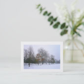 Carte De Visite Neige dans le parc, Mini Photo (Debout devant)