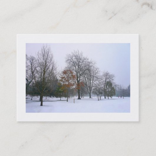 Carte De Visite Neige dans le parc, Mini Photo (Devant)