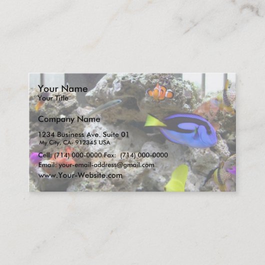 Carte De Visite Nemo avec son gang (Devant)