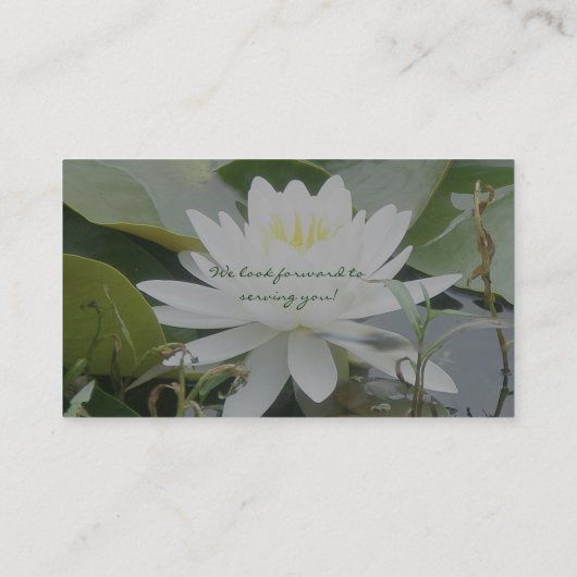 Carte de visite nénuphar (Dos)