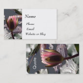 Carte De Visite Nénuphar rose (Devant / Derrière)
