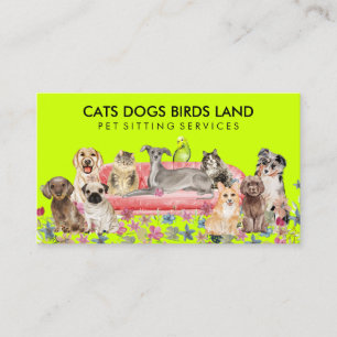 Carte De Visite Neon Chien Chat Bird Hotel Sofa Animaux assis