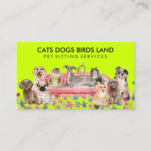 Carte De Visite Neon Chien Chat Bird Hotel Sofa Animaux assis (Devant)