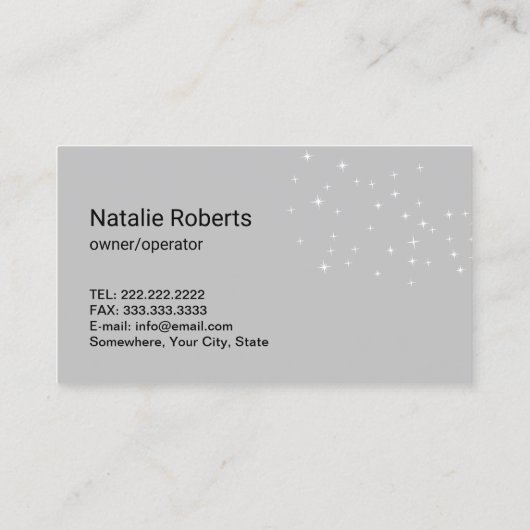 Carte De Visite Nettoyage de la maison Maid Feather Duster Ménage (Dos)