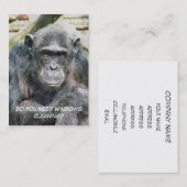 CARTE DE VISITE NETTOYAGE DES FENÊTRES (Devant / Derrière)