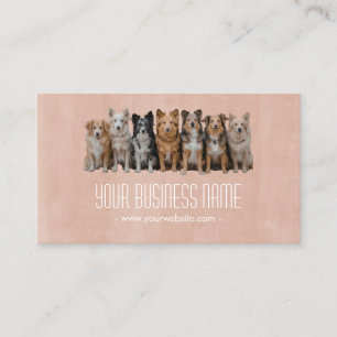 Carte de visite neutre pour promeneur de chiens /