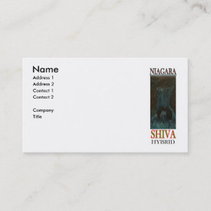 CARTE DE VISITE NIAGARA SHIVA HYBRID