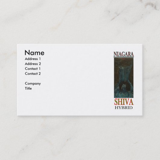CARTE DE VISITE NIAGARA SHIVA HYBRIDE (Devant)