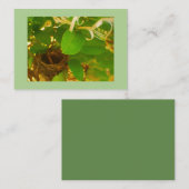 Carte De Visite Nid de colibri (Devant / Derrière)