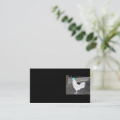 Carte de visite - noir avec le coq blanc (Debout devant)