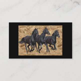 Carte de visite noir de beautés de chevaux