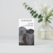 Carte de visite noir de bétail d'Angus (Debout devant)