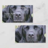 Carte de visite noir de chien de labrador (Devant / Derrière)