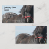 Carte de visite noir de poney de Shetland (Devant / Derrière)