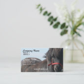 Carte de visite noir de poney de Shetland (Debout devant)