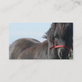 Carte de visite noir de poney de Shetland (Dos)