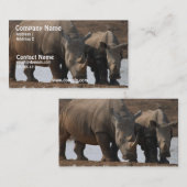 Carte de visite noir de rhinocéros (Devant / Derrière)