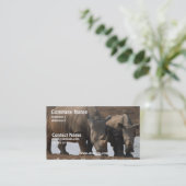 Carte de visite noir de rhinocéros (Debout devant)