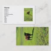 Carte de visite noir de vache (Devant / Derrière)