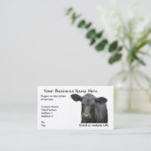 Carte de visite noir de veau d'Angus (Debout devant)