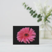 Carte De Visite Noir rose ACEO de Gerbera (Debout devant)