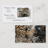 Carte De Visite non défini (Devant / Derrière)