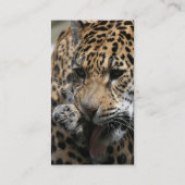 Carte De Visite non défini (Dos)