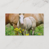 Carte De Visite non défini (Dos)