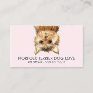 Carte De Visite Norfolk Terrier Chien
