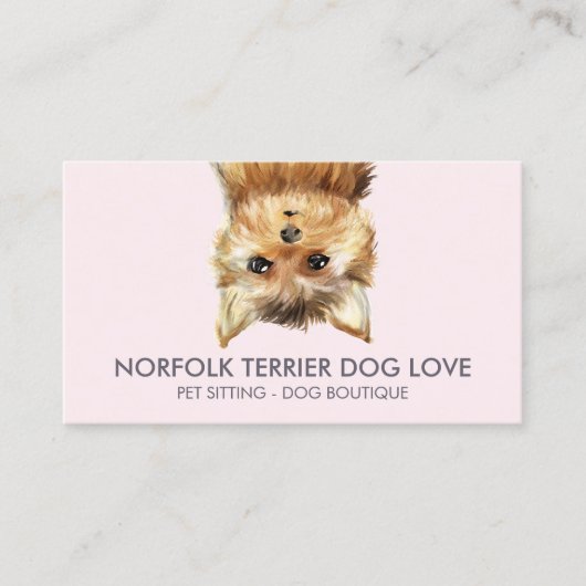 Carte De Visite Norfolk Terrier Chien (Devant)