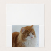 Carte De Visite Norwegian_Forest_Cat (Extérieur déplié)