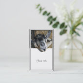 Carte De Visite Nosy Goat En Regard (Debout devant)