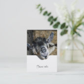 Carte De Visite Nosy Goat En Regard (Debout devant)