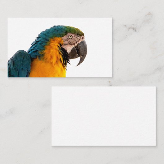 Carte De Visite Notes post-it de perroquet (Devant / Derrière)