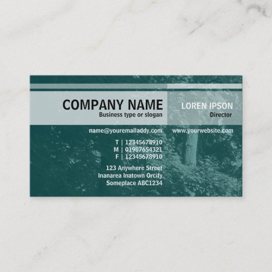 Carte De Visite Nuances alternatives - Dans les arbres - Turquoise (Devant)