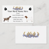 Carte De Visite Nubian & Boer (Devant / Derrière)