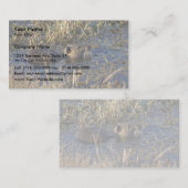 Carte De Visite Nutria dans l'eau (Devant / Derrière)