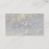 Carte De Visite Nutria dans l'eau (Dos)