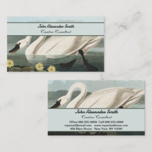 Carte De Visite Nymphéa Cygne Blanc Audubon Vintage Art