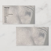 Carte De Visite Oeil d'éléphant (Devant / Derrière)